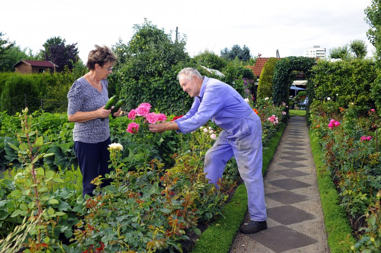 Heckenschnitt im Frühling: Was erlaubt ist – und was nicht